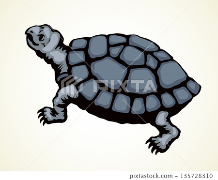 The little turtle is crawling. Vector drawing The little turtle is crawling. Vector drawing 135728310
