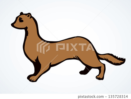 Least weasel. Vector drawing icon 135728314