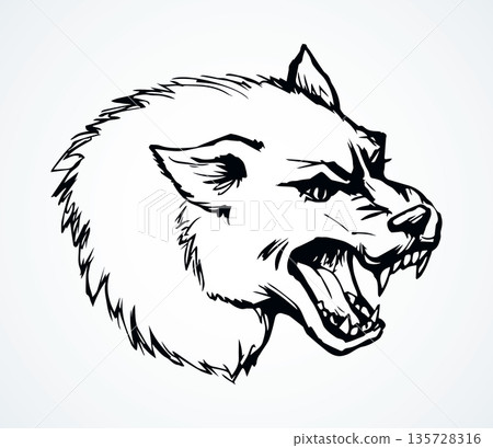 Open mouth. Grin. Vector drawing wolf Open mouth. Grin. Vector drawing wolf 135728316