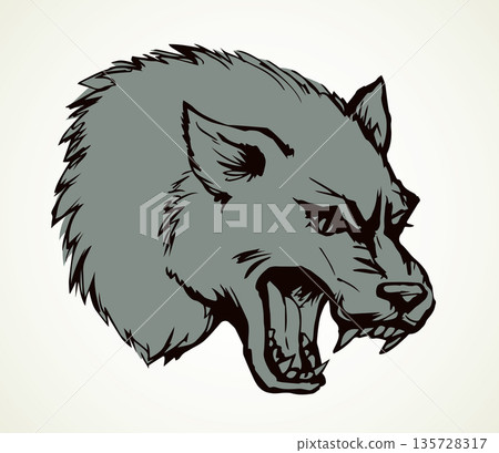 Open mouth. Grin. Vector drawing wolf Open mouth. Grin. Vector drawing wolf 135728317