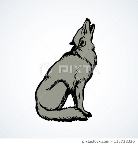 Wolf. Vector drawing 135728320
