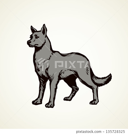 Wolf. Vector drawing Wolf. Vector drawing 135728325