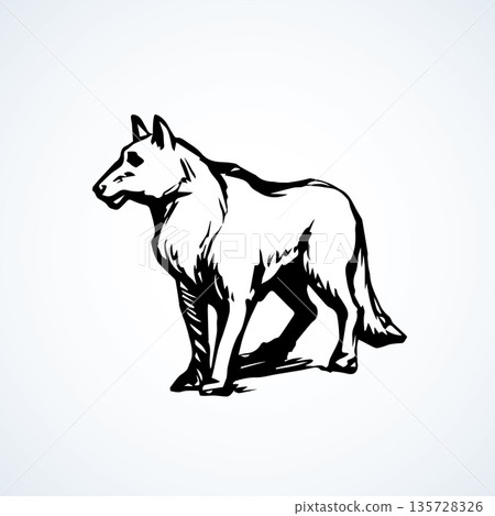 Wolf. Vector drawing 135728326