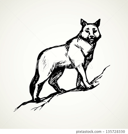 Wolf. Vector drawing Wolf. Vector drawing 135728330