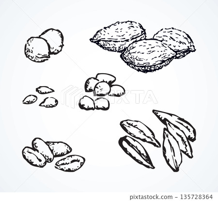 Series of vector illustrations of archaeological finds. Remains of linen, fruit stones and seeds Series of vector illustrations of archaeological finds. Remains of linen, fruit stones and seeds 135728364