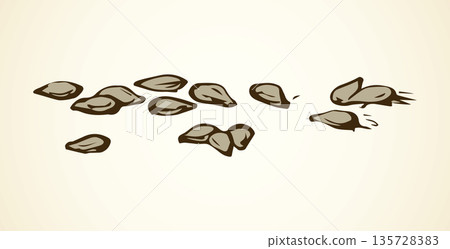 Sesame. Vector drawing 135728383