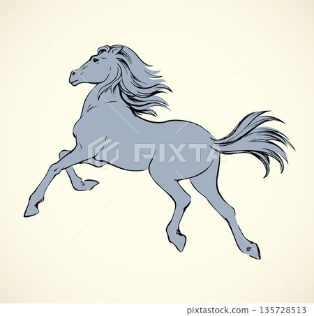 Prancing horse. Vepktorny drawing Prancing horse. Vepktorny drawing 135728513