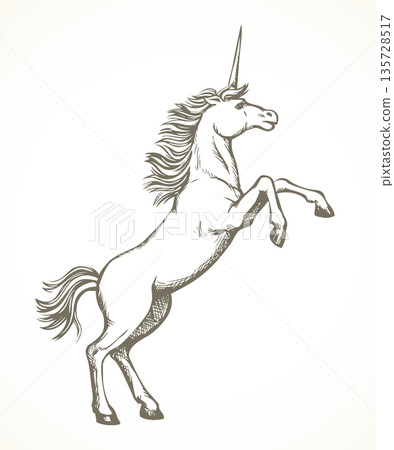 Unicorn. Vector drawing icon sign 135728517