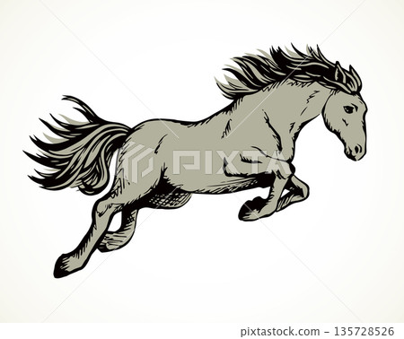 Galloping horse. Vector drawing icon Galloping horse. Vector drawing icon 135728526
