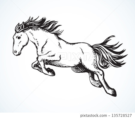 Galloping horse. Vector drawing icon Galloping horse. Vector drawing icon 135728527