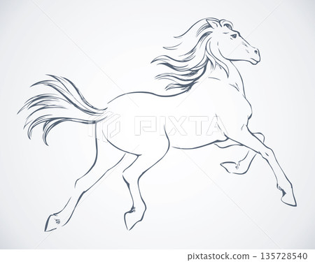 Prancing horse. Vepktorny drawing 135728540