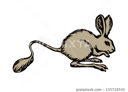 Jerboa. Vector drawing Jerboa. Vector drawing 135728545