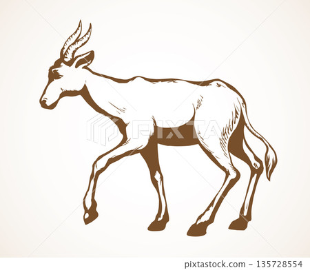 Antelope. Vector illustration Antelope. Vector illustration 135728554