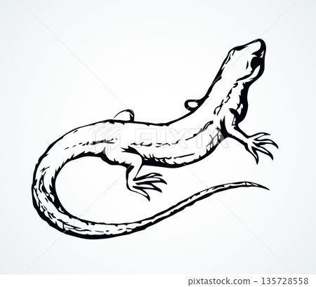 Little lizard. Vector drawing icon Little lizard. Vector drawing icon 135728558