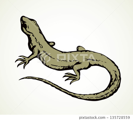 Little lizard. Vector drawing icon 135728559