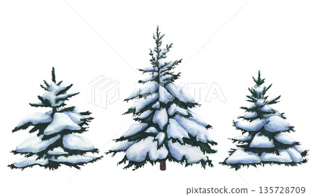 Set of Fir trees covered. Spruce tree in the snow. Watercolor illustration of winter spruce forest on white background. Isolated of Christmas tree covered in snow. Conifer of Snowy forest for design Set of Fir trees covered. Spruce tree in the snow. Watercolor illustration of winter spruce forest on white background. Isolated of Christmas tree covered in snow. Conifer of Snowy forest for design 135728709