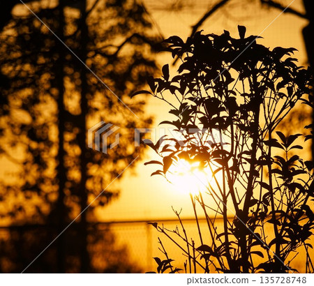 Sunset and silhouette landscape Sunset and silhouette landscape 135728748