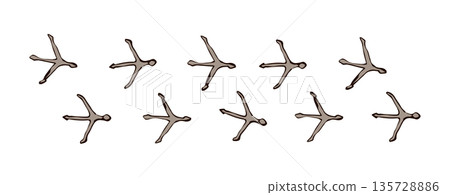 Traces of chicken. Vector drawing 135728886