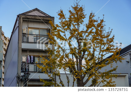 osaka city in japan at autumn time 135729731