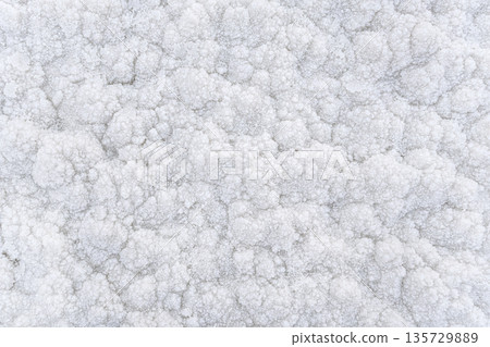 White crystalline salt closeup detail on Ein Bokek beach at Dead Sea - world most hypersaline lake 135729889