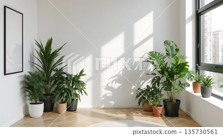 Indoor Plants Arranged in a Sunny Corner of a Modern Room With Large Windows 135730561