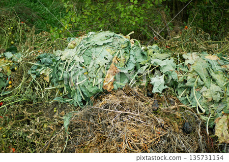 Composting vegetables organic domestic waste, trash of cabbage kohlrabi bio kale and fruits from the garden and household compost. Waste management, conventional and emerging approaches. Valorization Composting vegetables organic domestic waste, trash of cabbage kohlrabi bio kale and fruits from the garden and household compost. Waste management, conventional and emerging approaches. Valorization 135731154