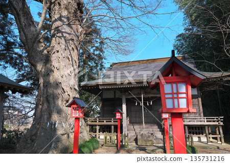 新年參拜栃木縣北中八幡宮 135731216