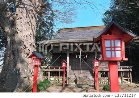 新年參拜栃木縣北中八幡宮 135731217