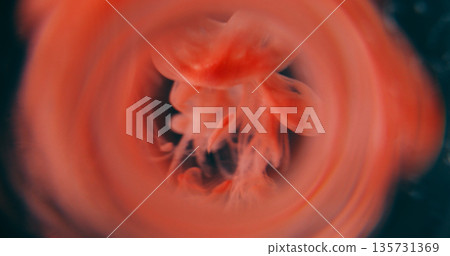 Paint splash defocused. Mix smoke. Red orange pigment mist flowing in black water. Circle color lens curl abstract cloud background. Paint splash defocused. Mix smoke. Red orange pigment mist flowing in black water. Circle color lens curl abstract cloud background. 135731369