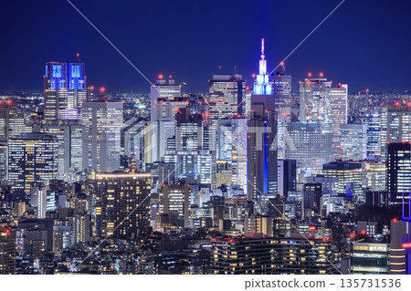[Top 100 Night Views] Shinjuku's buildings as seen from Roppongi Hills Tokyo City View in Tokyo 135731536