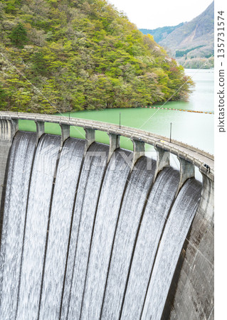 宮城縣/鳴子水壩（荒尾湖）春季美麗的竹簾洩洪道（竹簾洩洪道） 135731574