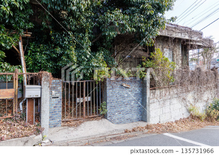 An abandoned house and its gate engulfed in green trees and ivy 135731966