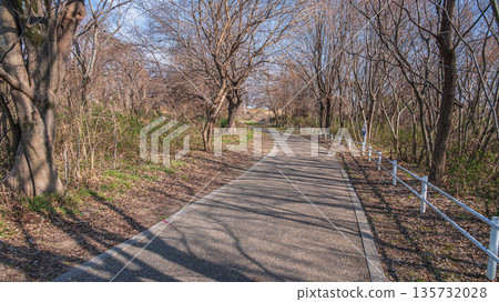 Winter Sewari Embankment, Kizugawa River Promenade, Yawata City, Kyoto Prefecture 135732028