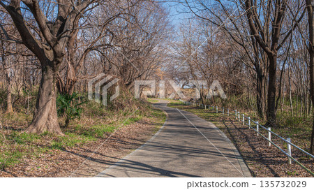 京都府八幡市木津川河散步道冬季瀨割堤 135732029