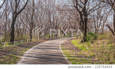 Winter Sewari Embankment, Kizugawa River Promenade, Yawata City, Kyoto Prefecture Winter Sewari Embankment, Kizugawa River Promenade, Yawata City, Kyoto Prefecture 135732033