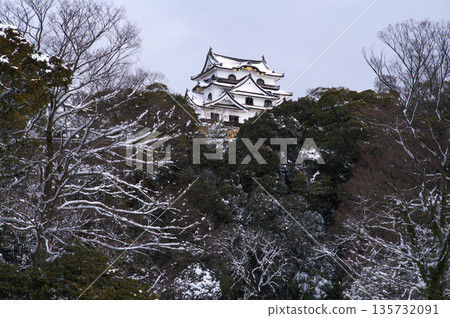 彥根城堡的雪 135732091