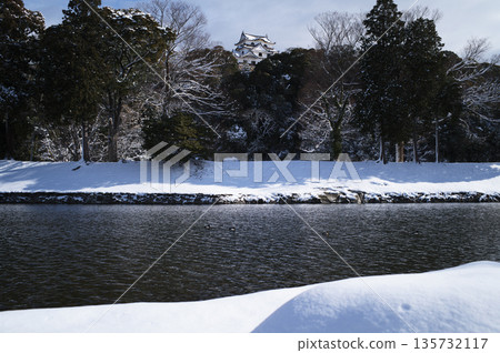 彥根城堡的雪 135732117