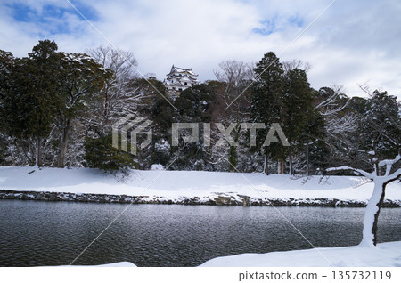 Hikone Castle of Snow Hikone Castle of Snow 135732119