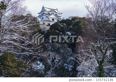 彥根城堡的雪 彥根城堡的雪 135732136