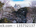 Hikone Castle of Snow Hikone Castle of Snow 135732137