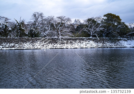 彥根城堡的雪 135732139