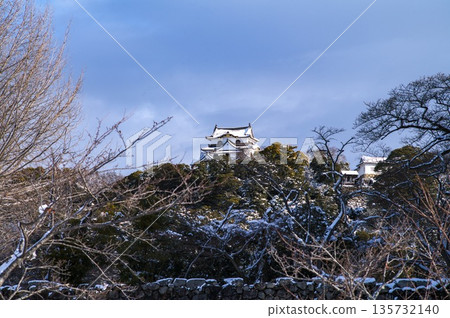 Hikone Castle of Snow 135732140