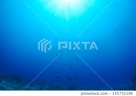 從水下看到的天空，帛琉海洋，潛水景色 135732196