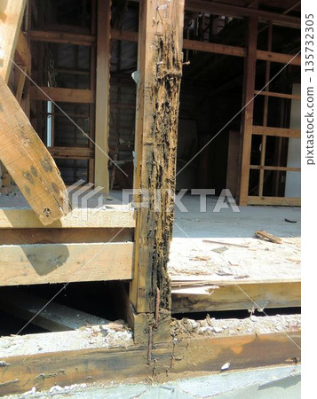 Pillars of a wooden house deteriorated by termite damage Pillars of a wooden house deteriorated by termite damage 135732305