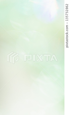 Soft, sparkling background, pale green, blurred gradation Soft, sparkling background, pale green, blurred gradation 135732862