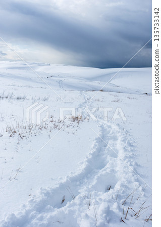 鳥取沙丘的雪景 135733142
