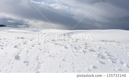鳥取沙丘的雪景 鳥取沙丘的雪景 135733148