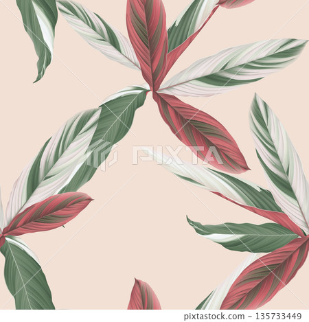 Foliage seamless pattern, heliconia Ctenanthe oppenheimiana plant on bright orange 135733449