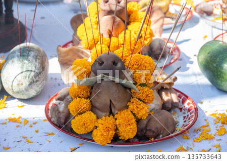 Close up of sacrifice pig head decorated with yellow flowers on the table for offering to the god or angel in mixed culture of Buddhist and Hindu religion in Thailand. Close up of sacrifice pig head decorated with yellow flowers on the table for offering to the god or angel in mixed culture of Buddhist and Hindu religion in Thailand. 135733643