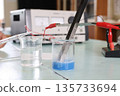 Science experiment 135733694